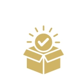 Open box with checkmark and rays icon.