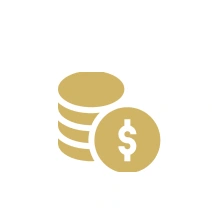 Gold coins with dollar symbol icon.